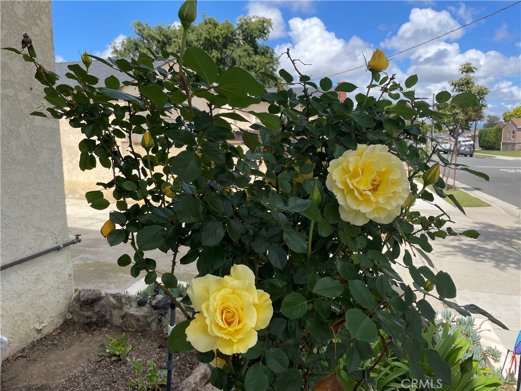 https://media.crmls.org/medias/e1d35e2b-a2b5-40ec-96e4-dca02ee74b61.jpg?preset=X-Large