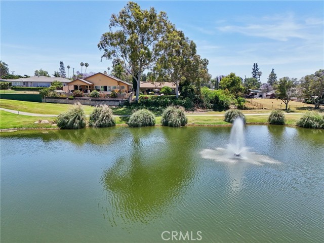 11525 Sunnybrook Lane, Whittier CA: https://media.crmls.org/medias/e1d7688a-1fea-492d-a00a-a96bfc740cc1.jpg
