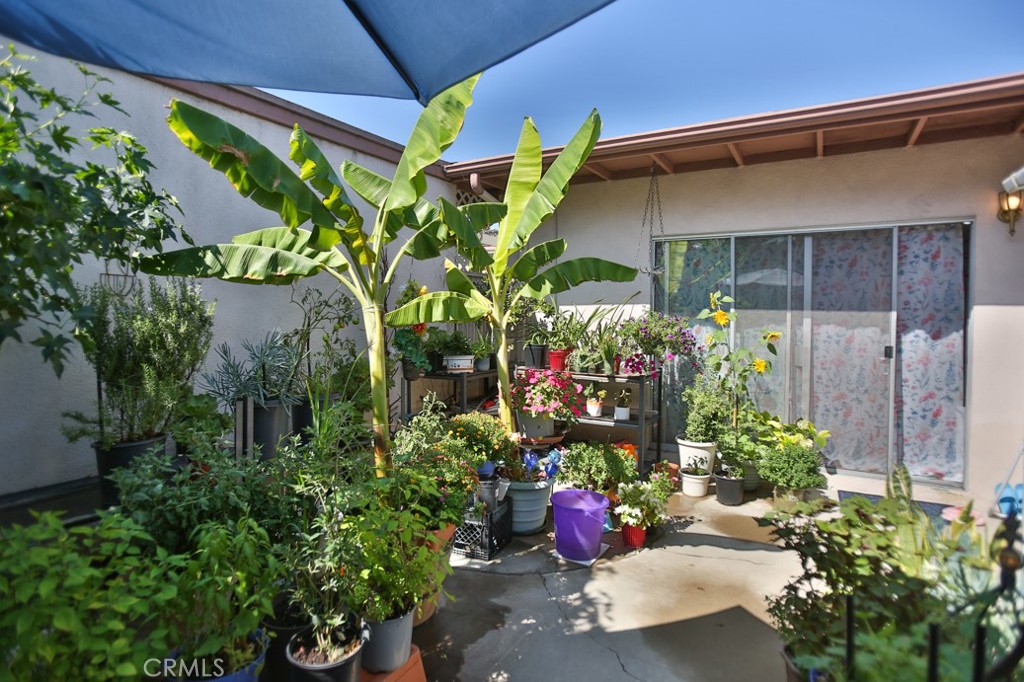 E1d9dc08 34f9 4a2b 920b C8eb5df620c4