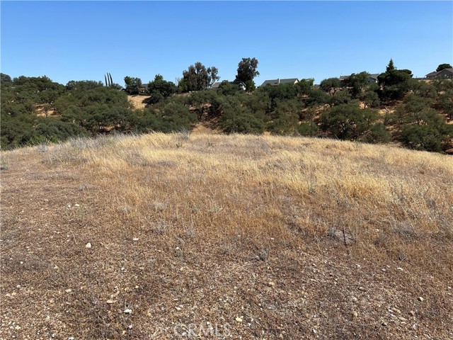 0 Pepper Tree Way, Paso Robles CA: https://media.crmls.org/medias/e1dee6c4-6a52-45e0-a5d5-63c8e979a92e.jpg