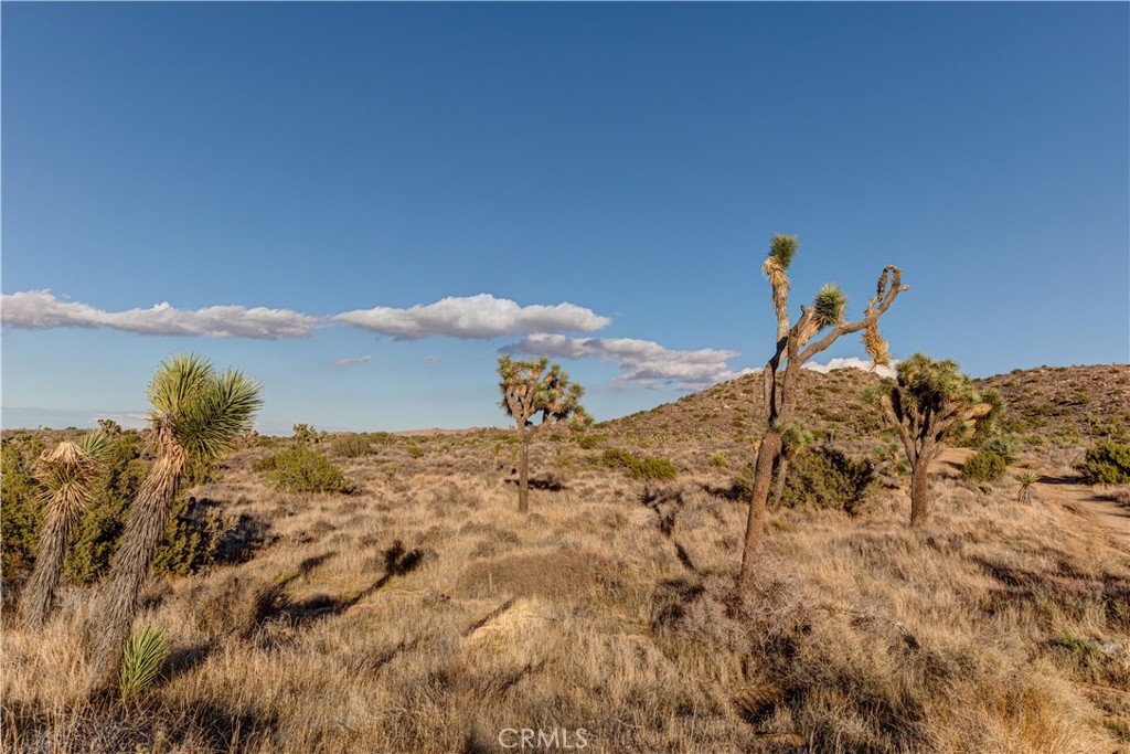 MLS #JT25229239 image #30