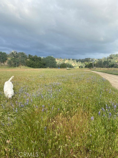 Detail Gallery Image 69 of 69 For 1575 Parkhill Rd, Santa Margarita,  CA 93453 - 4 Beds | 2/1 Baths