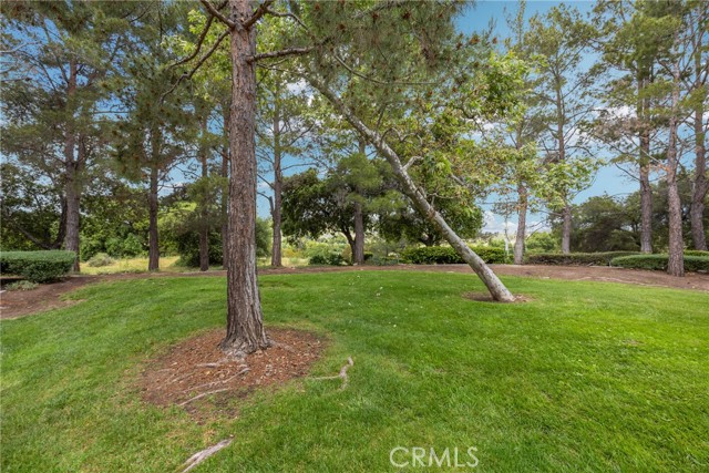 27 Timbre, Rancho Santa Margarita CA: https://media.crmls.org/medias/e1e7ed6d-5c59-45a2-855e-6b6bc4b817f3.jpg