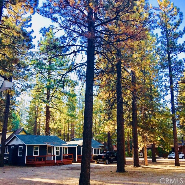 Open Corner Half Acre Lot with 5 Cabins one block to the Big Bear Lake.