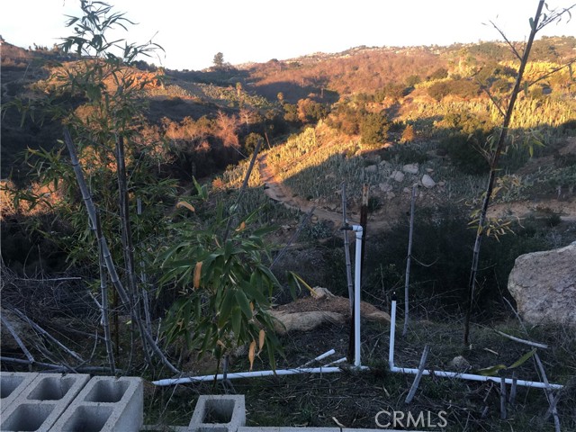 646 Rice Canyon, Fallbrook, CA, 92028 646 Rice Canyon, Fallbrook, CA, 92028