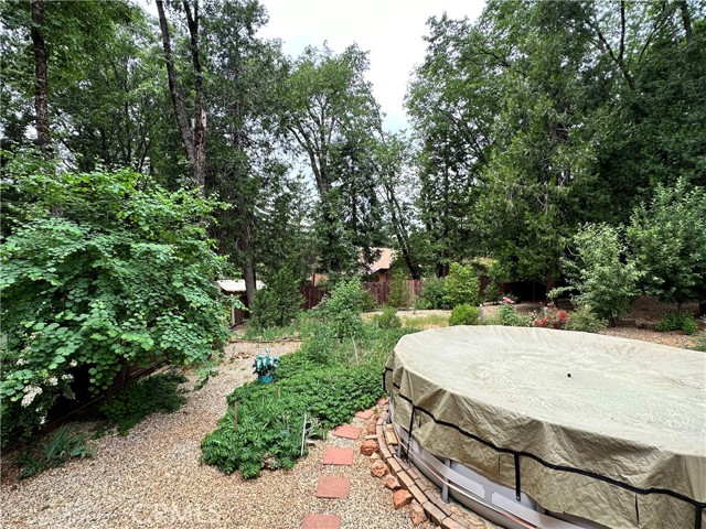 Back yard