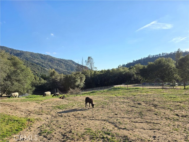 Detail Gallery Image 65 of 75 For 2137 Kemble Rd, Mariposa,  CA 95338 - 3 Beds | 2/1 Baths