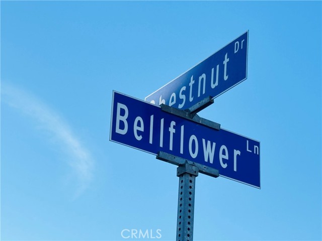 Detail Gallery Image 30 of 40 For 12615 Bellflower, Moreno Valley,  CA 92555 - 4 Beds | 3 Baths