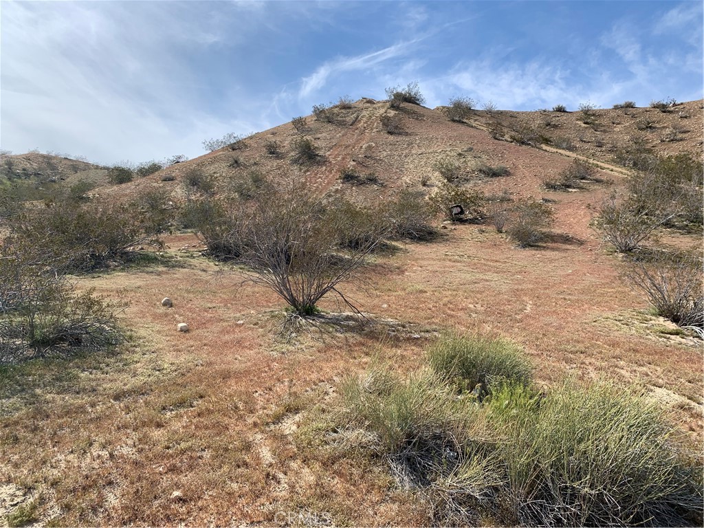 MLS #HD24197772 image #18