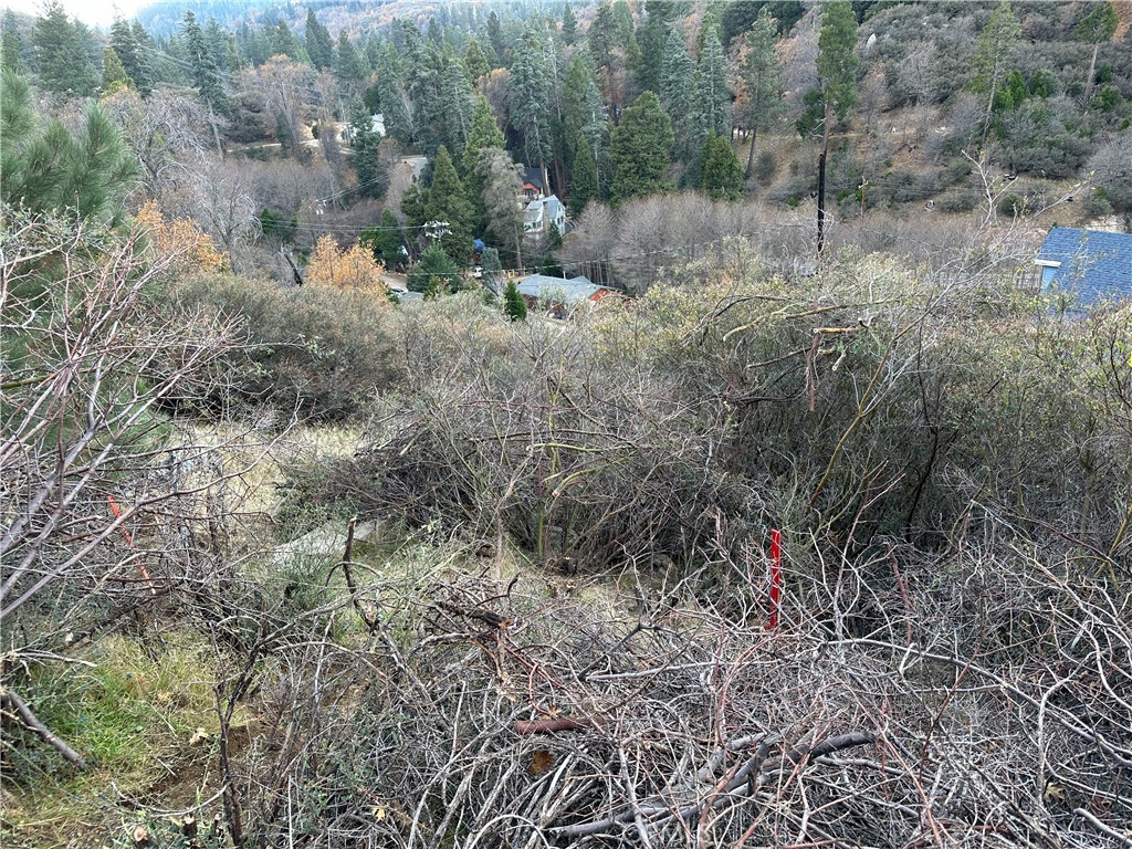 MLS #DW23216327 image #11
