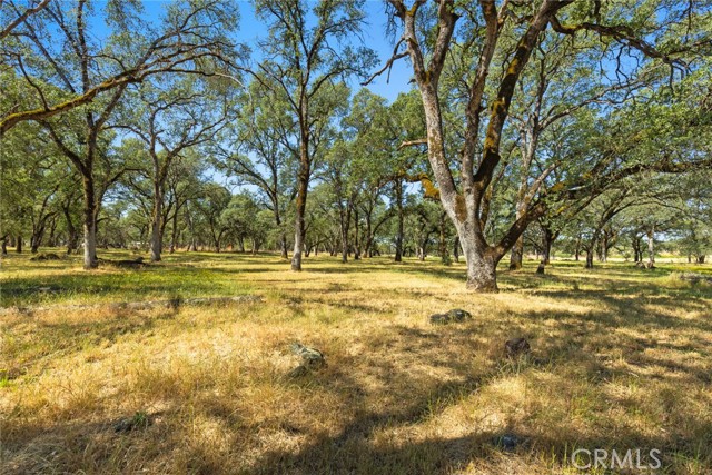 Detail Gallery Image 9 of 21 For 0 Drescher Track Road Rd, Palermo,  CA 95968 - – Beds | – Baths