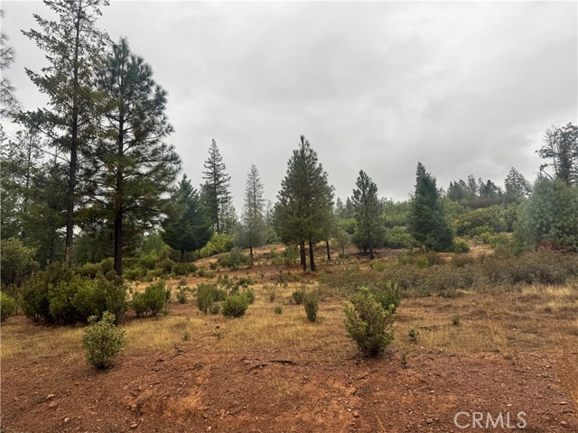 Detail Gallery Image 3 of 12 For 21575 My Way, Middletown,  CA 95461 - – Beds | – Baths