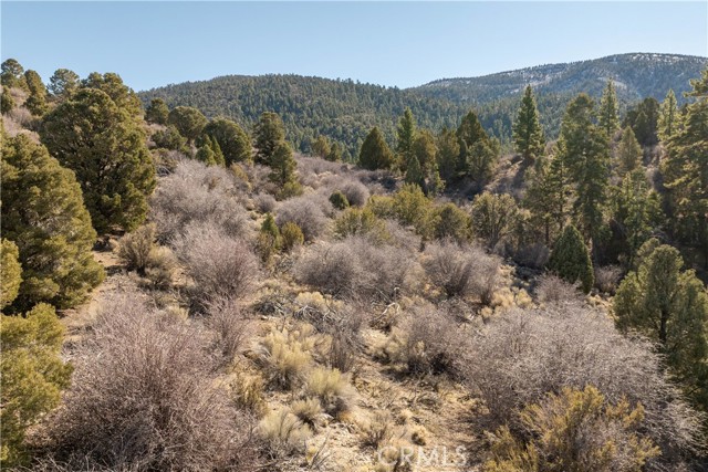 Detail Gallery Image 19 of 31 For 1110 Central, Big Bear City,  CA 92314 - – Beds | – Baths