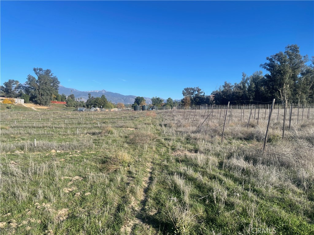 MLS #WS25276306 image #14