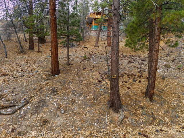 Detail Gallery Image 2 of 28 For 1237 Ridge Rd, Fawnskin,  CA 92333 - – Beds | – Baths