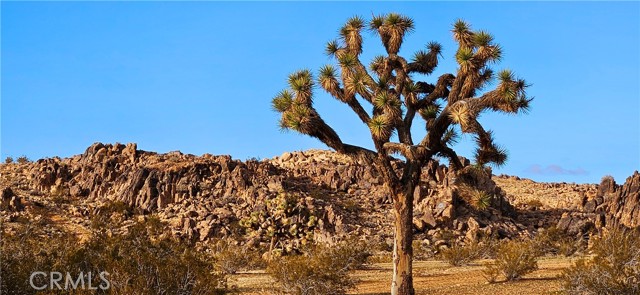 Image 2 of 6 For 801 Adobe Mountain Rd. (near)