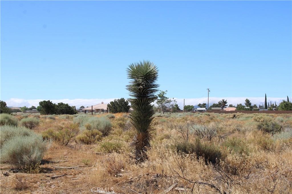 MLS #HD26167724 image #3