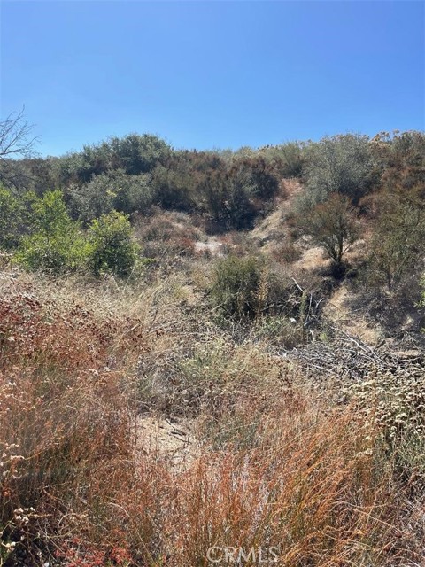 14 Cardinal Rd, Hemet, California 92544, ,Land,For Sale,14 Cardinal Rd,CRSW23205521