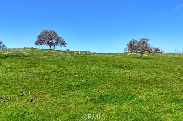 Detail Gallery Image 2 of 19 For 0 39.89 Ac Road 613, Raymond,  CA 93653 - – Beds | – Baths