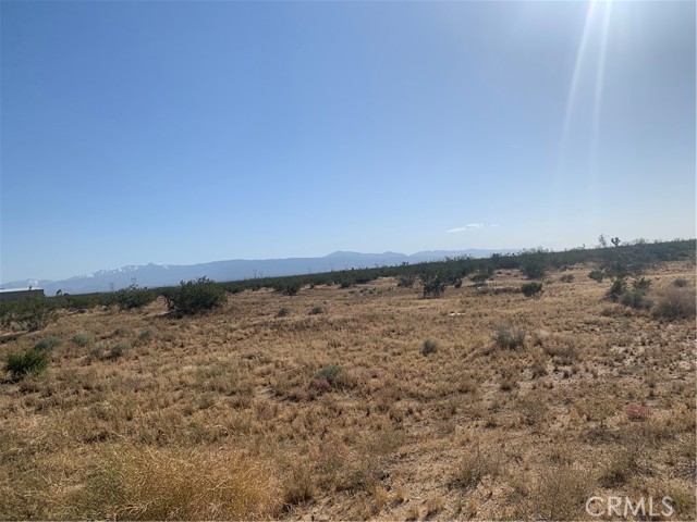 Detail Gallery Image 23 of 32 For 17374 Koala Rd, Adelanto,  CA 92301 - – Beds | – Baths