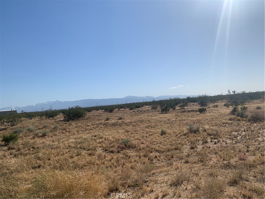 MLS #HD25220775 image #22