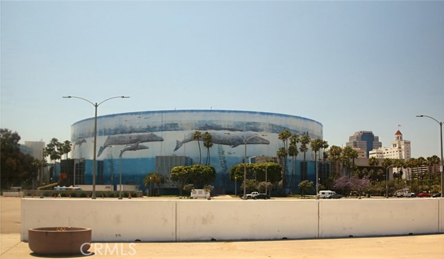 555 Maine Avenue, Long Beach CA: https://media.crmls.org/medias/e223da0b-d6f7-4cbd-a476-8e7e9b95aedc.jpg