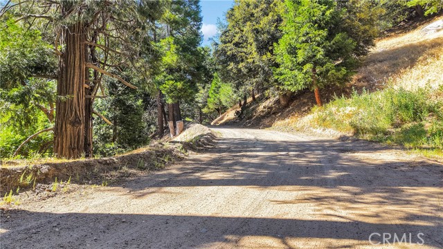 0 Mojave River Road, Cedarpines Park CA: https://media.crmls.org/medias/e2253cd0-fdf1-4837-a0f5-d3c30688aab1.jpg