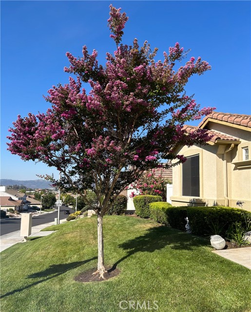 39523 Sierra Madre Drive, Murrieta CA: https://media.crmls.org/medias/e226fd9f-49d1-4f48-8817-abbd4fd4b99b.jpg