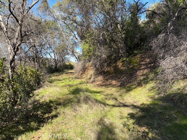 Detail Gallery Image 23 of 34 For 8870 Oro Quincy, Berry Creek,  CA 95916 - – Beds | – Baths