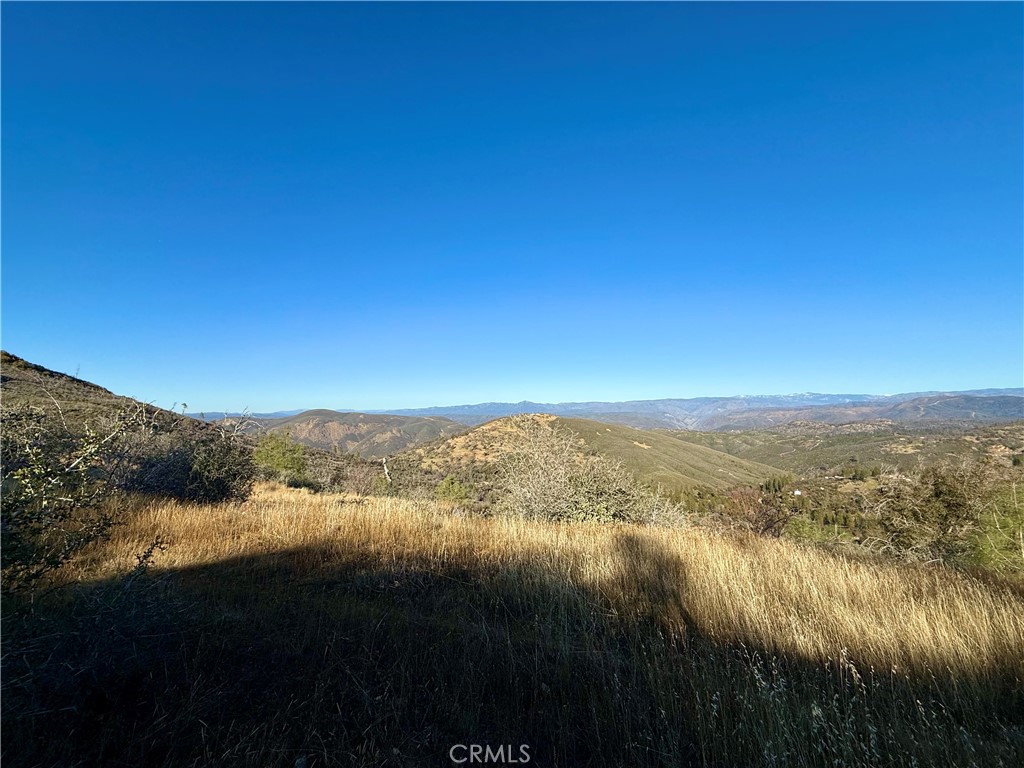 MLS #MP24255833 image #4