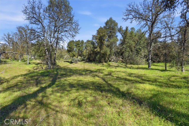 Detail Gallery Image 7 of 34 For 4251 Burl, Mariposa,  CA 95338 - – Beds | – Baths