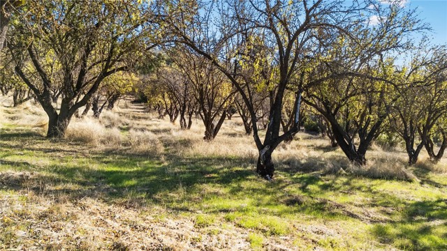 Detail Gallery Image 40 of 47 For 210 Morine Ranch Rd, Clearlake Oaks,  CA 95423 - 3 Beds | 2/1 Baths