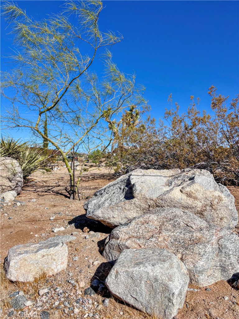 https://media.crmls.org/medias/e235b121-b74d-4165-8b99-89aa6cd653f3.jpg?preset=X-Large