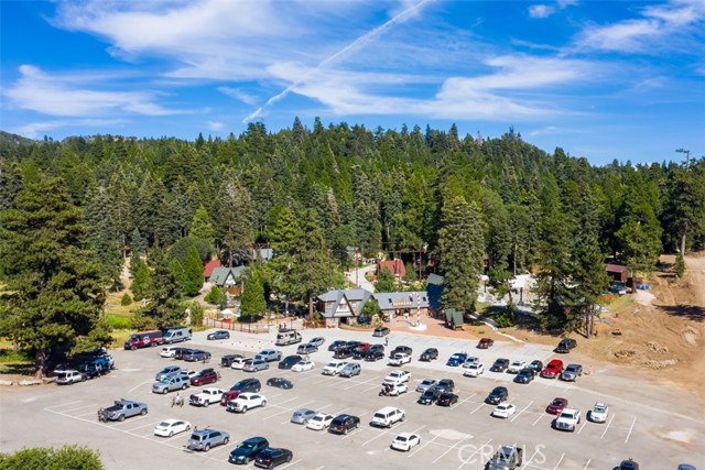 641 Golf Course Road, Lake Arrowhead, California 92352, 4 Bedrooms Bedrooms, ,3 BathroomsBathrooms,Residential Purchase,For Sale,Golf Course,OC19195123