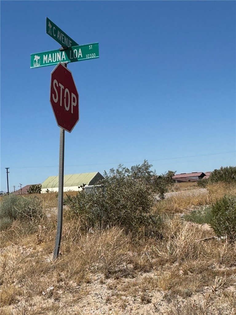 0 Mauna Loa Street