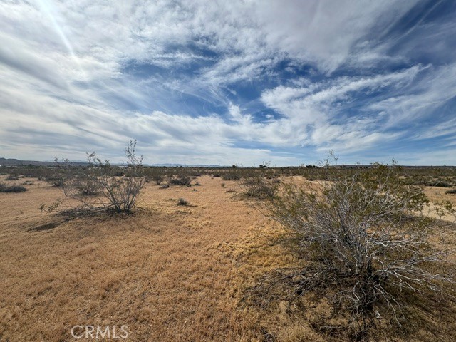 Front Image Thumbnail for CRJT26077759