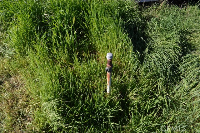 Image 25 of 38 For 29580 Patelli Way