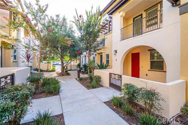 Front Image Thumbnail for CRDW25222845