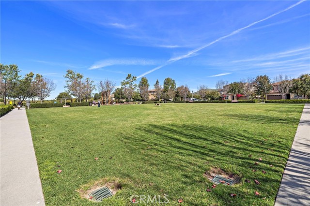 Image 43 of 59 For 12 Belladonna