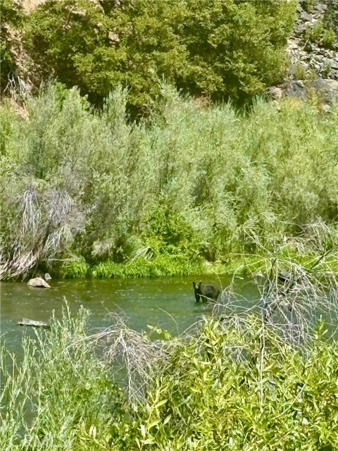 38727 State Highway 96, Klamath River CA: https://media.crmls.org/medias/e2511bc4-613f-4c17-bf02-6e5194a6be1f.jpg