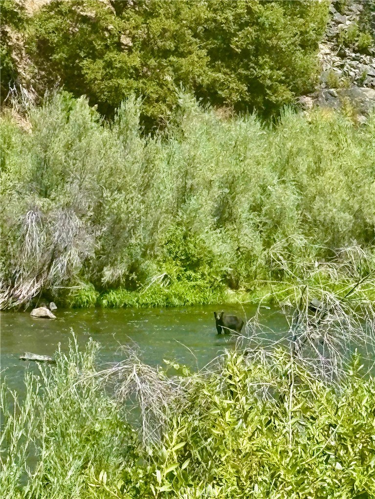 https://media.crmls.org/medias/e2511bc4-613f-4c17-bf02-6e5194a6be1f.jpg?preset=X-Large