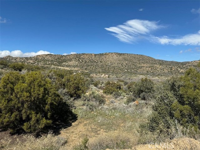 0 Covered Wagon Trail, Anza, California 92539, ,Land,For Sale,0 Covered Wagon Trail,CRSW24042253