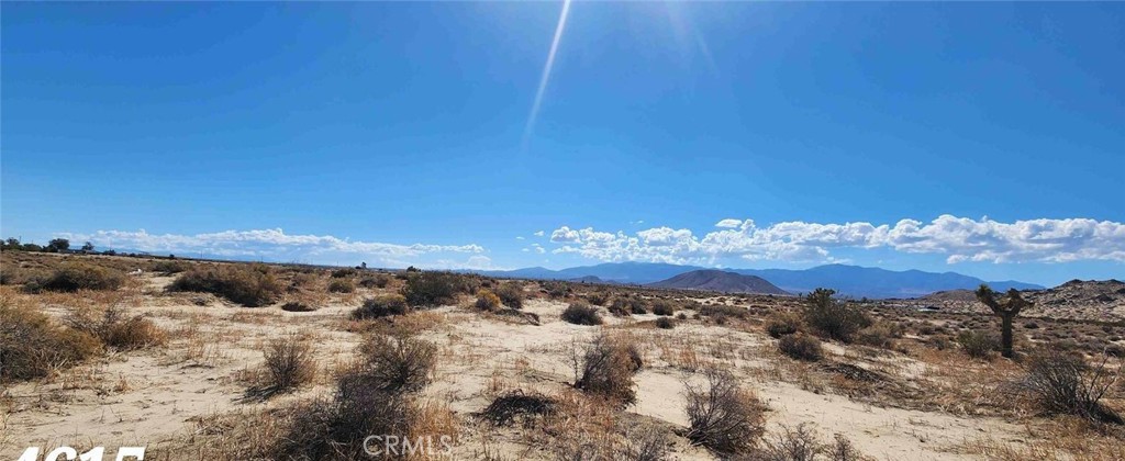 MLS #DW24154757 image #12