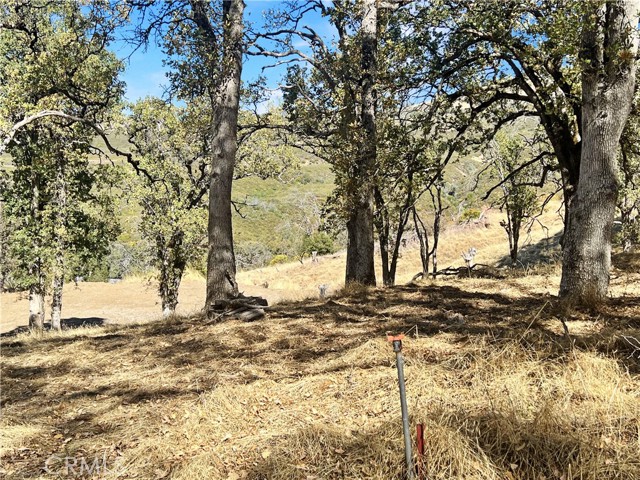 Detail Gallery Image 7 of 21 For 20560 Solar Ridge, Lower Lake,  CA 95457 - – Beds | – Baths