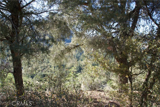 Detail Gallery Image 17 of 18 For 1824 Saint Anton Dr, –,  CA 93222 - – Beds | – Baths