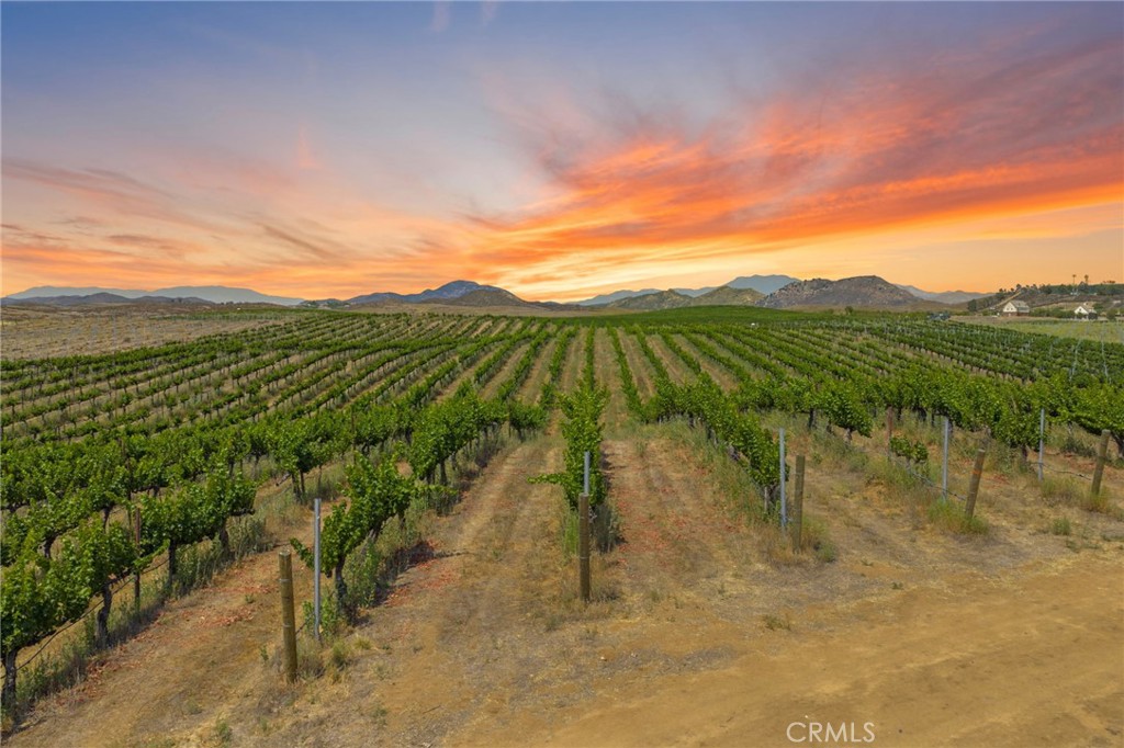 MLS #SW25161061 img 3