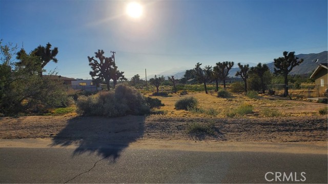 Front Image Thumbnail for CRJT25264232