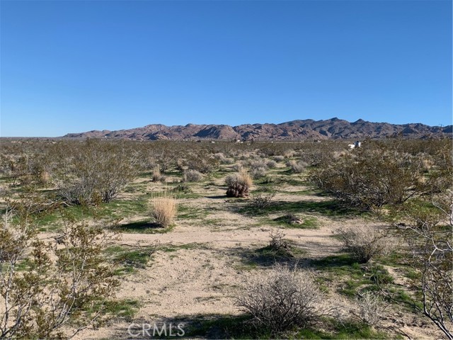 Detail Gallery Image 5 of 5 For 0 California Ave, Joshua Tree,  CA 92252 - – Beds | – Baths
