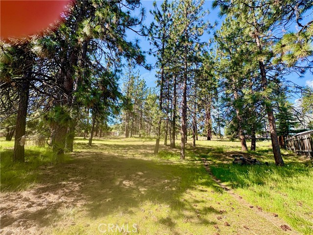 Image 11 of 54 For 0 S Lang Way