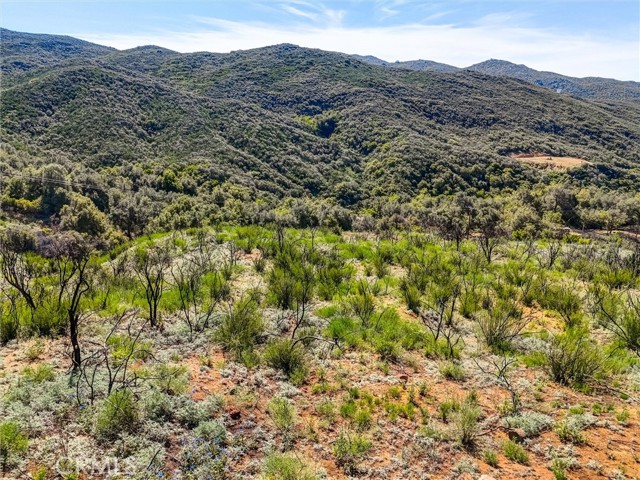 Detail Gallery Image 18 of 19 For 1 Decker Canyon Road, Ortega Mountain,  CA 92530 - – Beds | – Baths